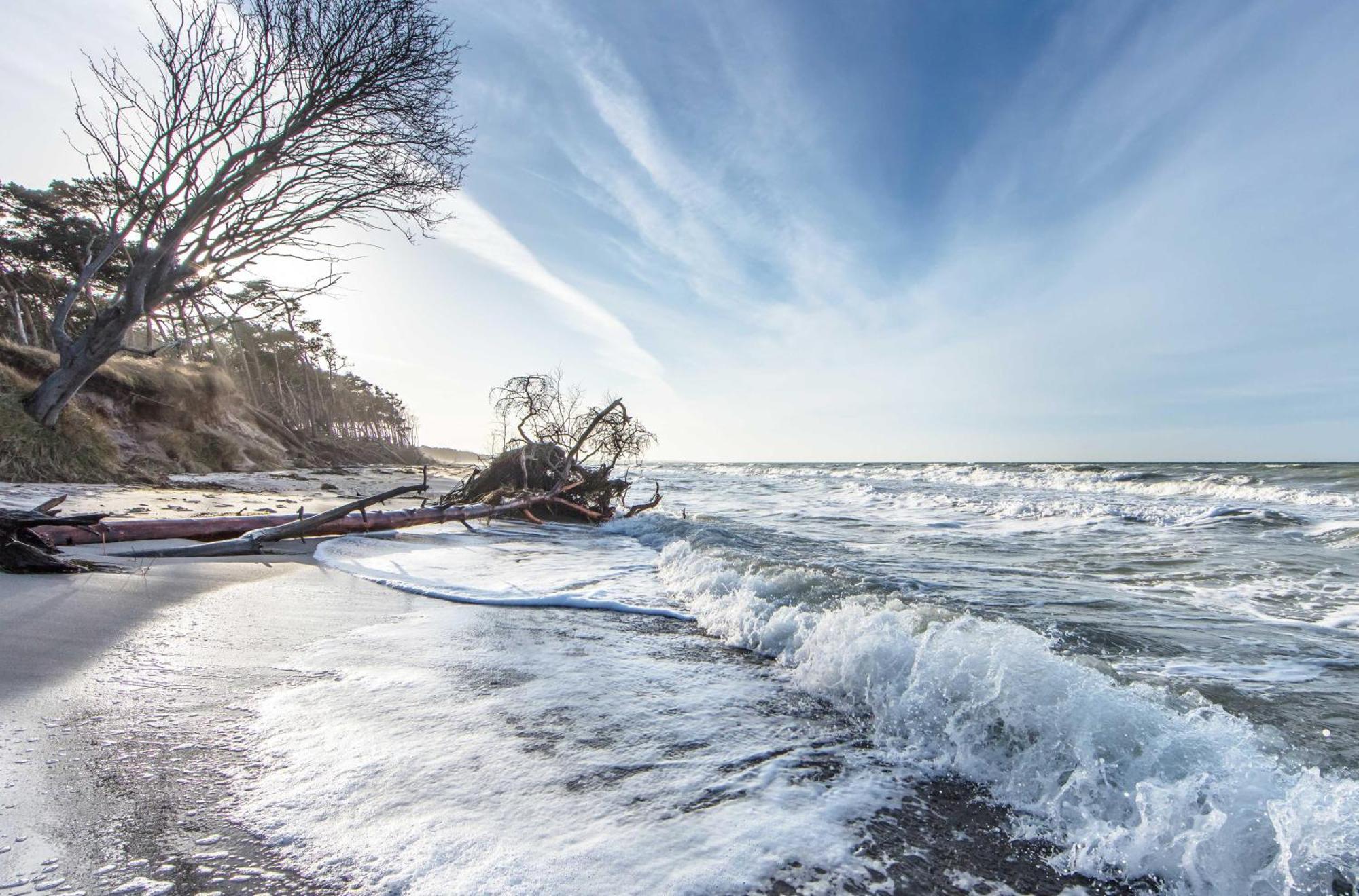Leuchtturm An Der Seebruecke Zingst Eksteriør billede