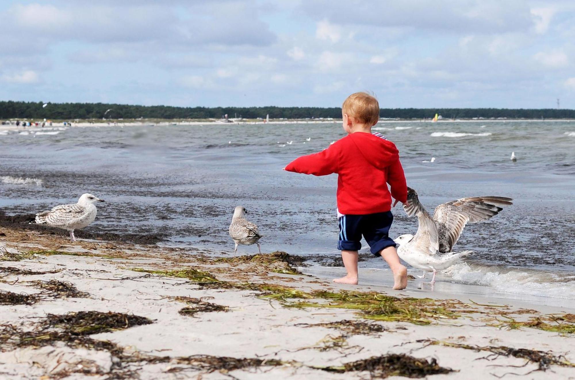 Leuchtturm An Der Seebruecke Zingst Eksteriør billede