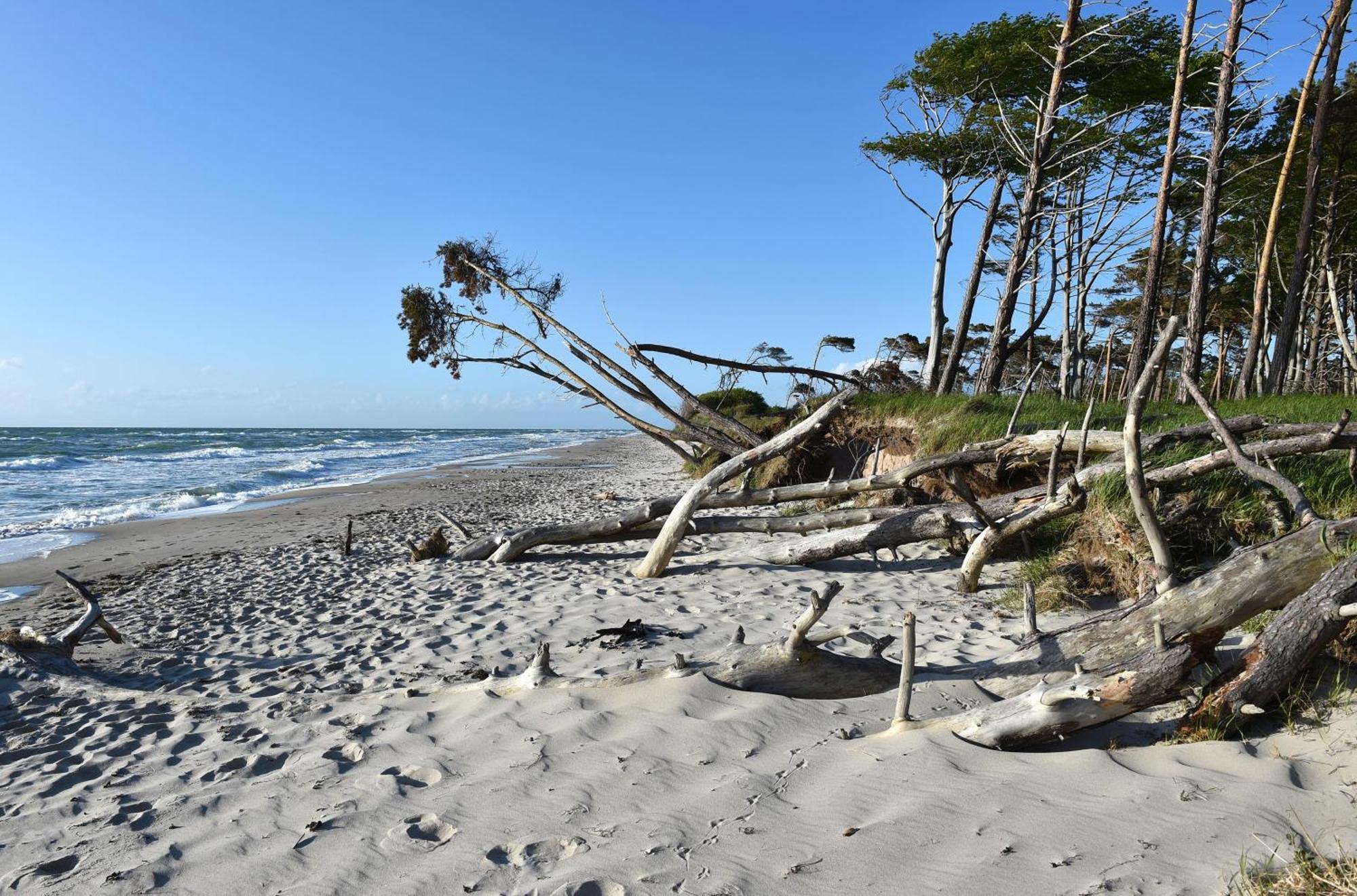 Leuchtturm An Der Seebruecke Zingst Eksteriør billede